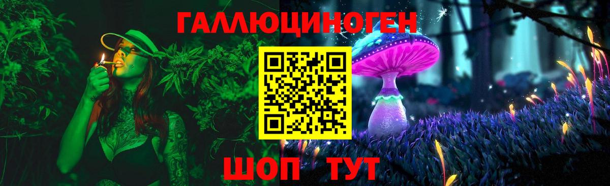 Губкинский  Галлюциногенные грибы Psilocybine cubensis  Вход с VPN 